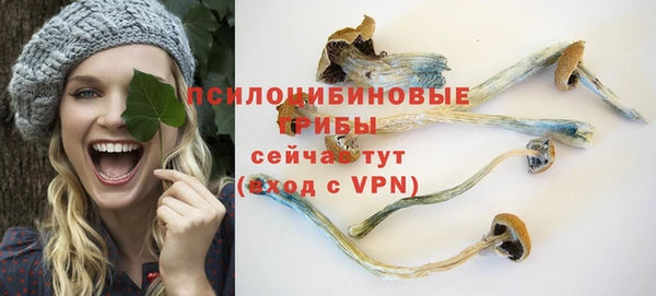 прущий лед Вязники