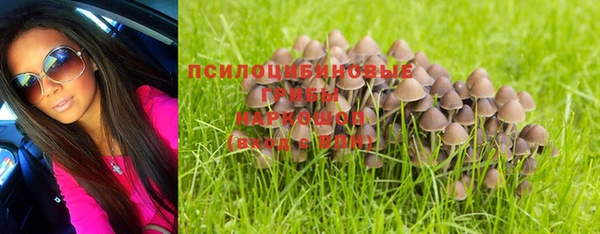 скорость Вяземский