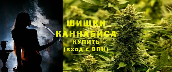 скорость Вяземский