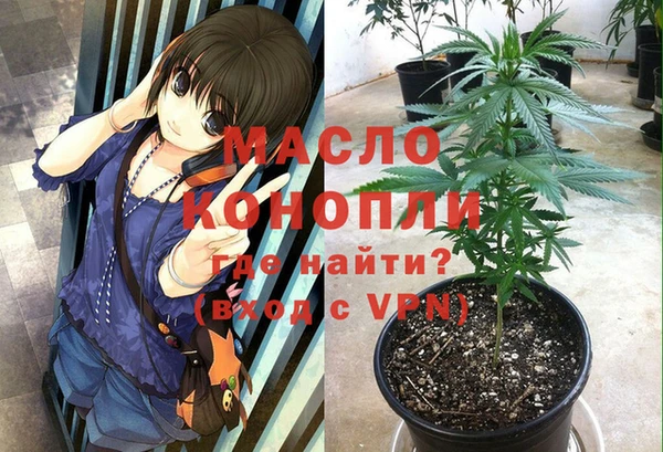скорость Вяземский