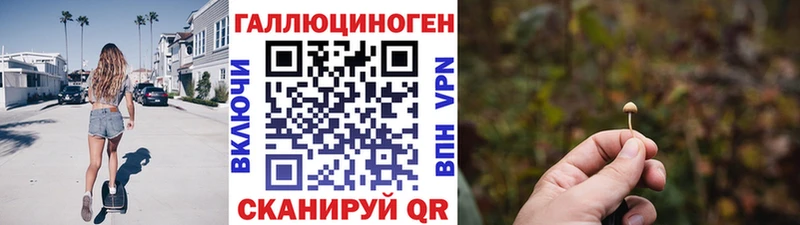 Купить Великие Луки Псилоцибиновые грибы Magic Shrooms
